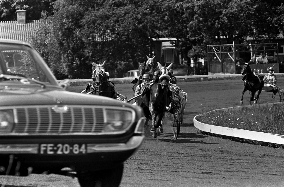 Draverijen, zes paarden in de strijd voor de Rock Crytal Prijs , winnaar Peeler, Bestanddeelnr 917-9341