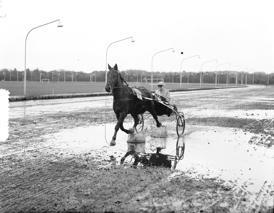 Draverijen Hilversum, Bestanddeelnr 906-2403