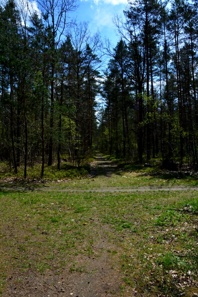 Dresdner Heide Pfad