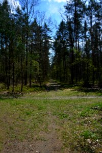 Dresdner Heide Pfad