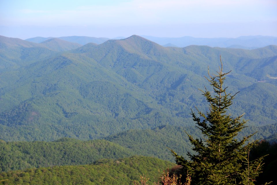 Doubletop Mountain, North Carolina viewed from Waterrock Knob, May 2017 2