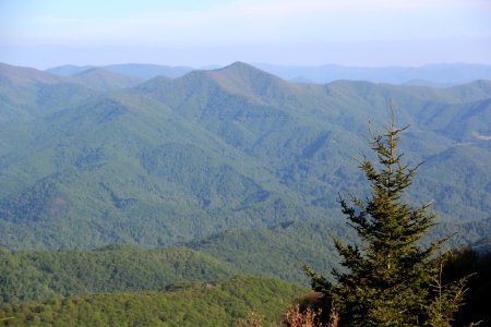 Doubletop Mountain, North Carolina viewed from Waterrock Knob, May 2017 2 photo