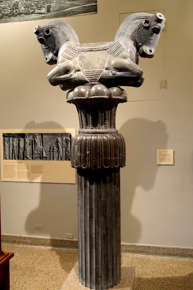 Double Bull Capital on Fluted Column, Iran, Persepolis, Apadana, Achaemenid Period, reigns of Darius I and Xerxes, 522-465 BC, restored limestone - Oriental Institute Museum, University of Chicago - DSC07930