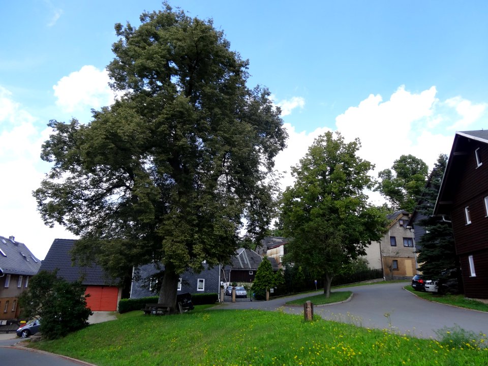 Dorfplatz von Witzendorf, Saalfelder Höhe