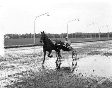 Draverijen Hilversum, Bestanddeelnr 906-2401