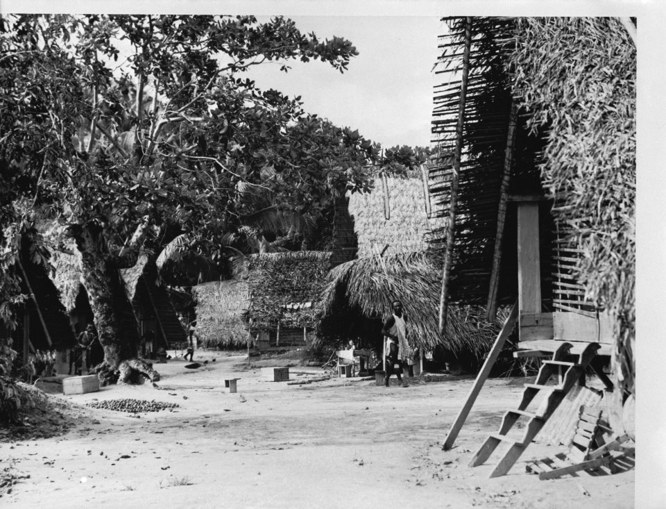 Dorp Guyaba. Marrondorp in Suriname, Bestanddeelnr 935-1301