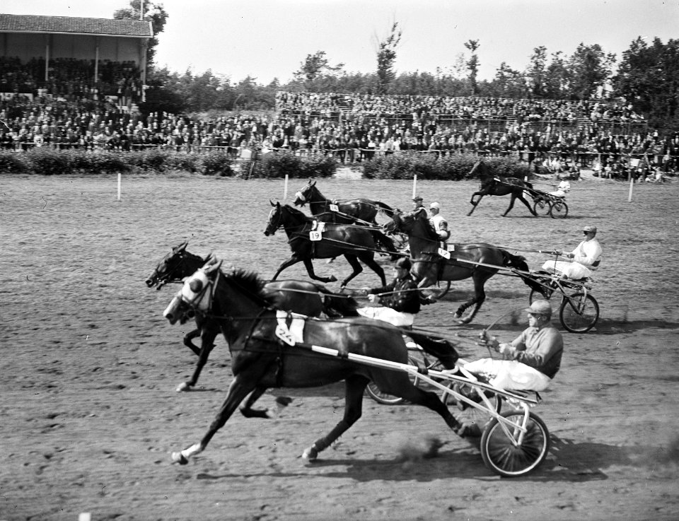 Draverij Duindigt overzicht race 2-jarige merries, Bestanddeelnr 901-8802
