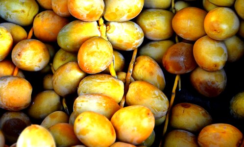 Market purchasing bio
