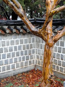 Dosan Memorial Park - Seoul, South Korea - DSC00425