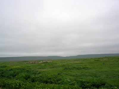 DoroshenkovoCr