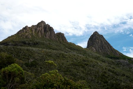 Dove Lake Circuit Walking Track, Cradle Mountain - Lake St Clair National Park 24