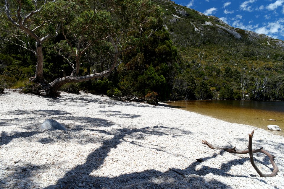 Dove Lake Circuit Walking Track, Cradle Mountain - Lake St Clair National Park 16