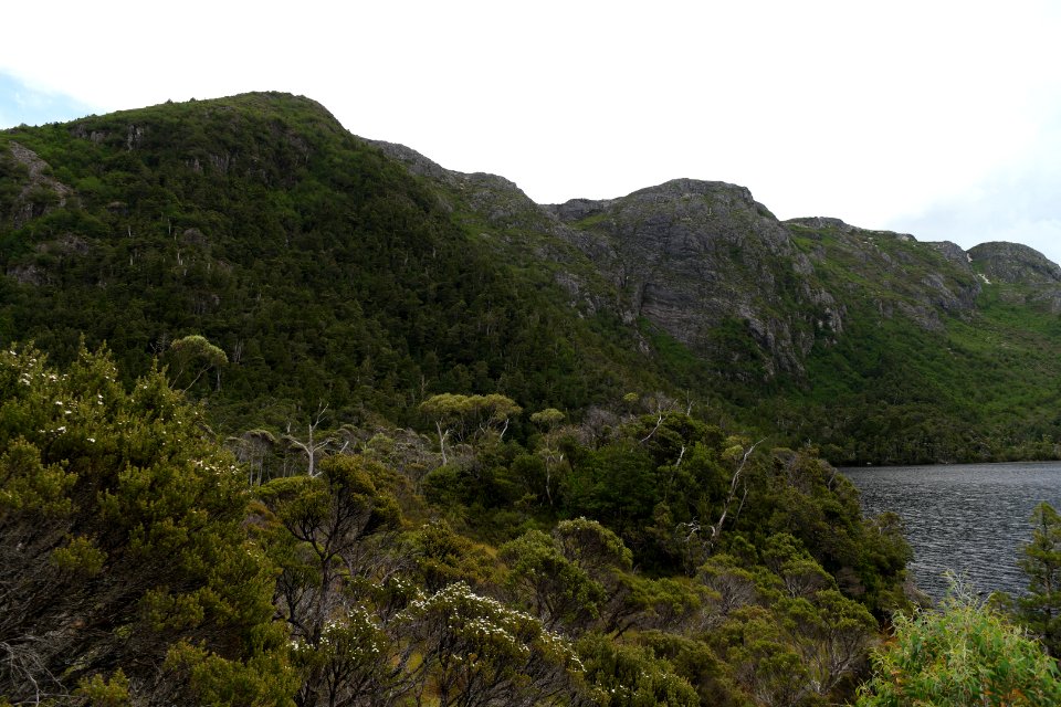 Dove Lake Circuit Walking Track, Cradle Mountain - Lake St Clair National Park 38
