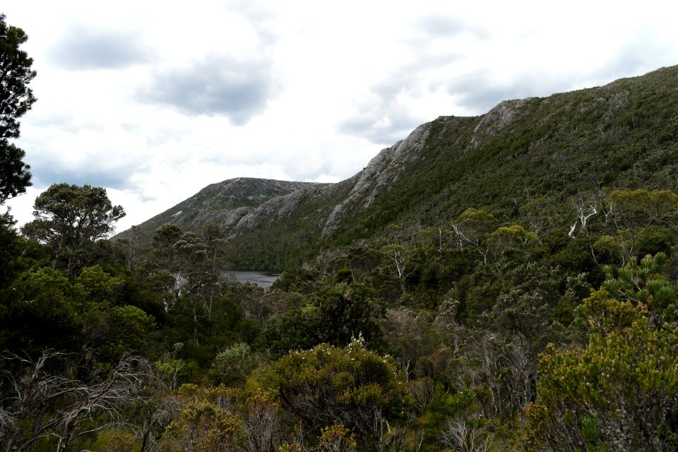 Dove Lake Circuit Walking Track, Cradle Mountain - Lake St Clair National Park 33