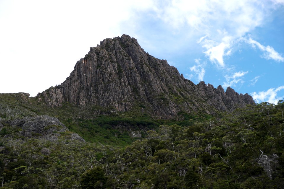 Dove Lake Circuit Walking Track, Cradle Mountain - Lake St Clair National Park 46
