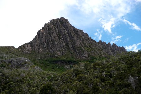 Dove Lake Circuit Walking Track, Cradle Mountain - Lake St Clair National Park 46