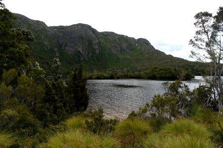 Dove Lake Circuit Walking Track, Cradle Mountain - Lake St Clair National Park 30