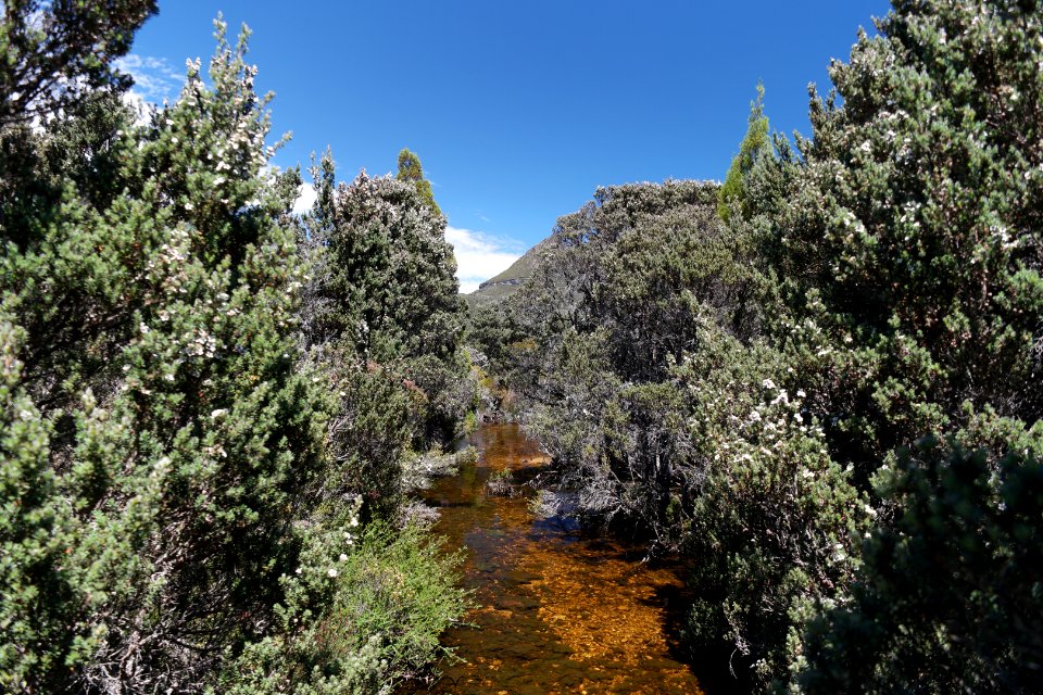 Dove Lake Circuit Walking Track, Cradle Mountain - Lake St Clair National Park 01