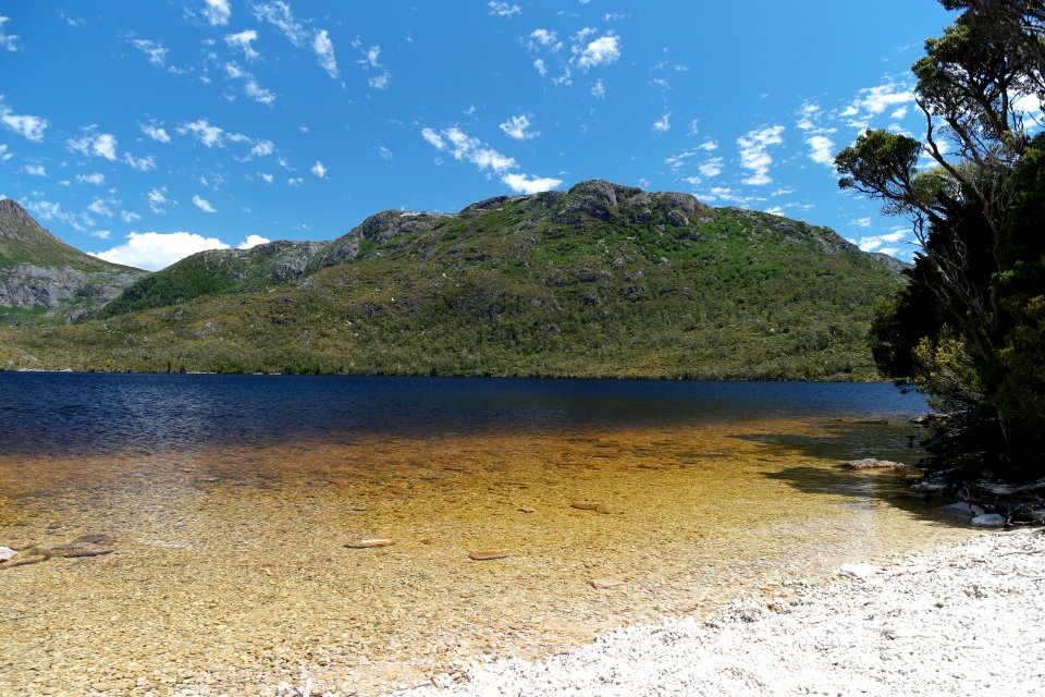 Dove Lake Circuit Walking Track, Cradle Mountain - Lake St Clair National Park 15