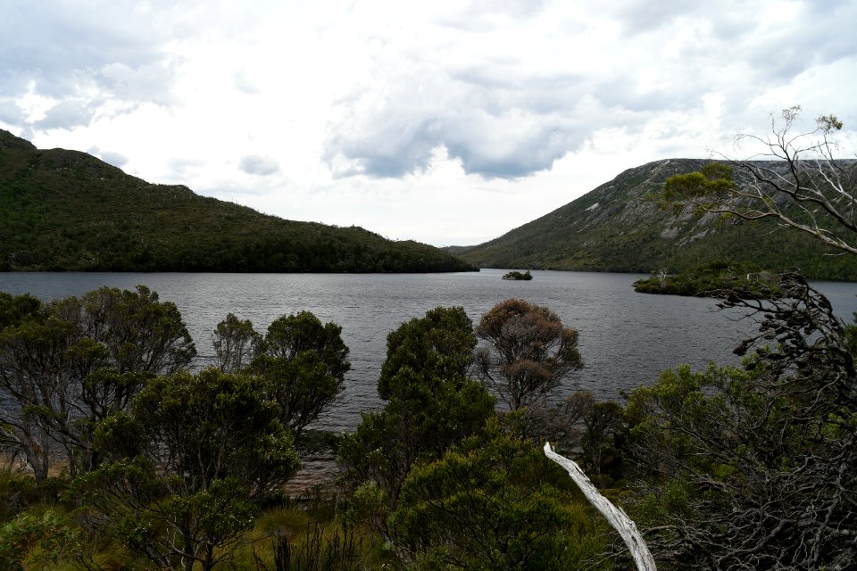 Dove Lake Circuit Walking Track, Cradle Mountain - Lake St Clair National Park 39