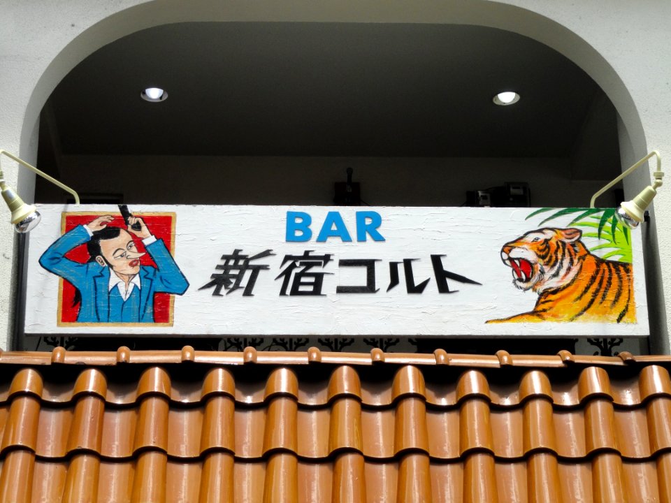 Dotonbori, Osaka - DSC05825