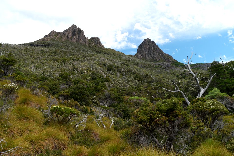 Dove Lake Circuit Walking Track, Cradle Mountain - Lake St Clair National Park 36