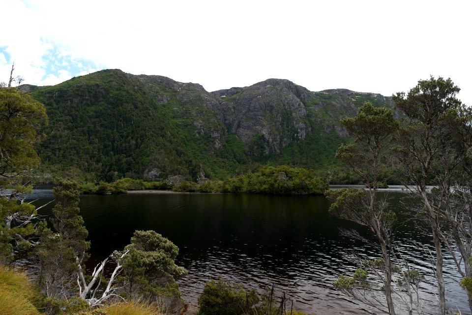Dove Lake Circuit Walking Track, Cradle Mountain - Lake St Clair National Park 28