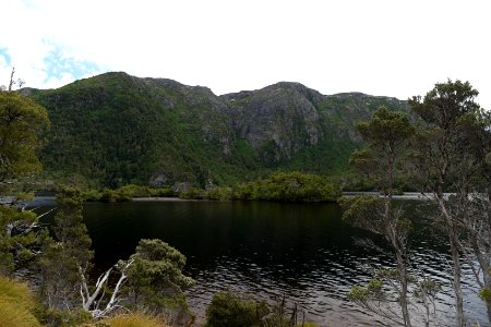 Dove Lake Circuit Walking Track, Cradle Mountain - Lake St Clair National Park 28