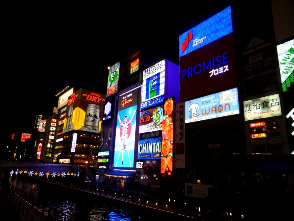 Dotonbori signs at 24th December 2014 (1)
