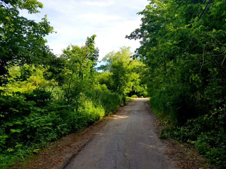 Dothan Street - Arlington, MA - 20200618 084238