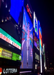 Dotombori neon signs at night, 25th October 2014 (1)
