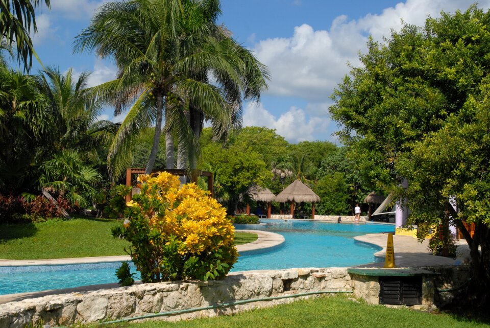Pool pool area caribbean