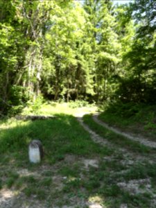 Doulaincourt, pierre commémorative D67A (02) et chemin forestier
