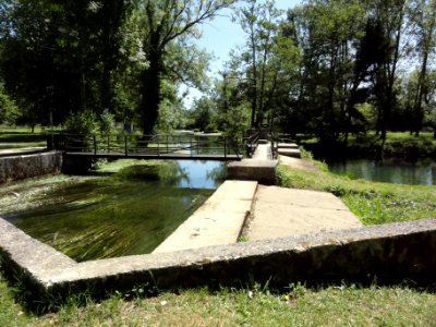 Doulaincourt, le Rognon, écluse début du bief (04)