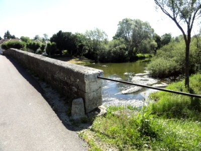 Doulaincourt, pont du Rognon, monument historique (02)