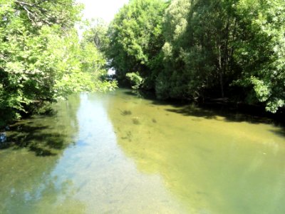 Doulaincourt, le Rognon vu du pont historique