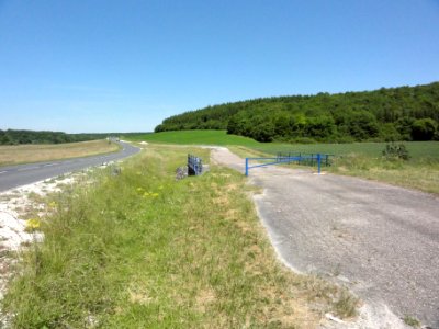 Doulaincourt-Saucourt, D67a à hauteur de la Combe de Presle, vers Saucourt-sur-Rognon