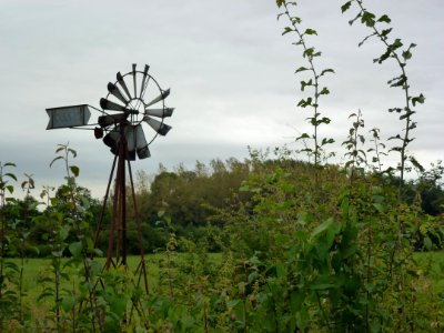 Doux (Ardennes) wind wheel