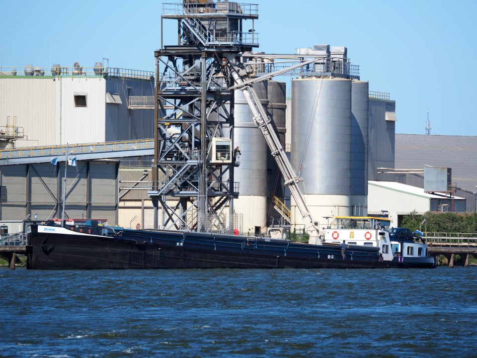 Douwina (ship, 1940) ENI 02312142, Mercuriushaven