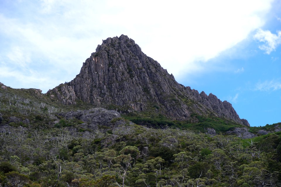 Dove Lake Circuit Walking Track, Cradle Mountain - Lake St Clair National Park 42