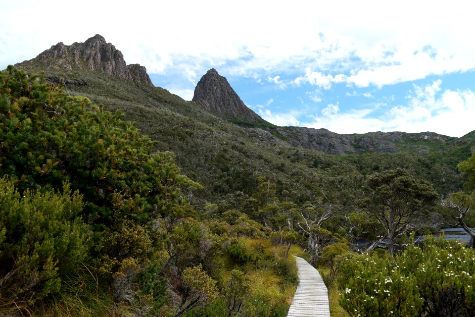 Dove Lake Circuit Walking Track, Cradle Mountain - Lake St Clair National Park 29