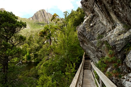 Dove Lake Circuit Walking Track, Cradle Mountain - Lake St Clair National Park 57