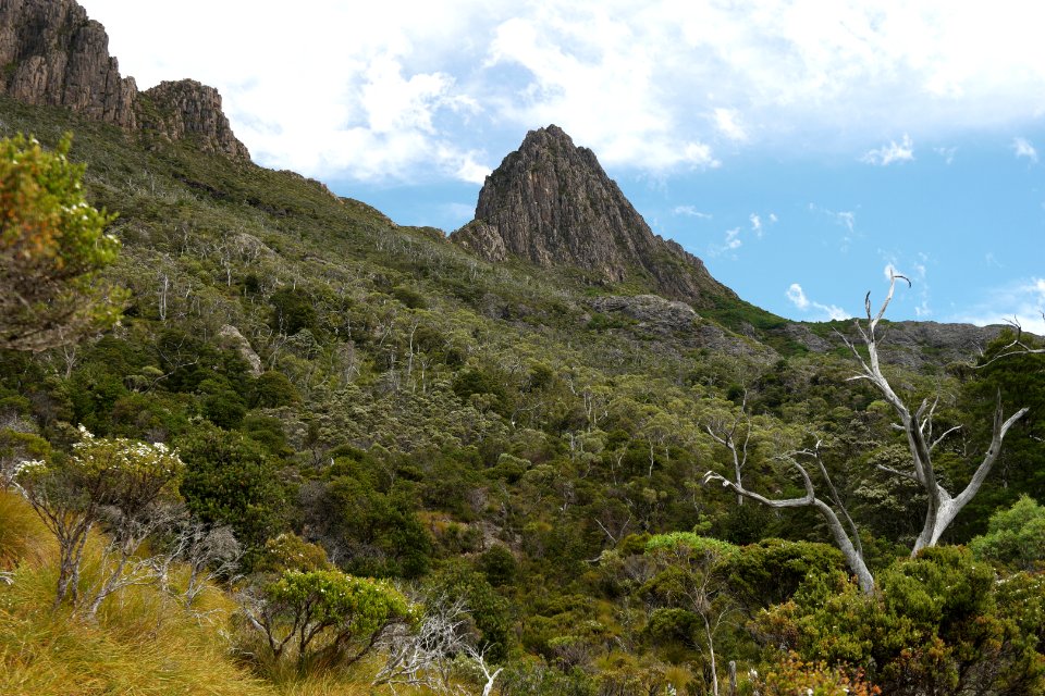 Dove Lake Circuit Walking Track, Cradle Mountain - Lake St Clair National Park 35