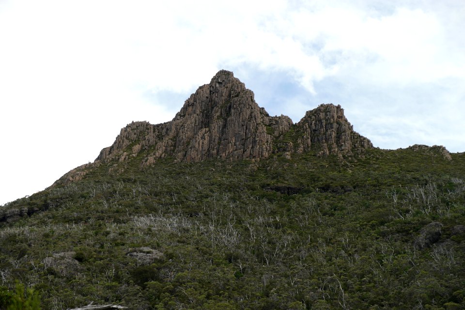 Dove Lake Circuit Walking Track, Cradle Mountain - Lake St Clair National Park 47