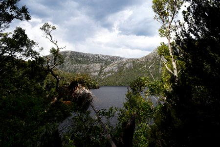 Dove Lake Circuit Walking Track, Cradle Mountain - Lake St Clair National Park 60