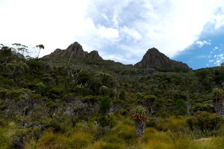 Dove Lake Circuit Walking Track, Cradle Mountain - Lake St Clair National Park 41