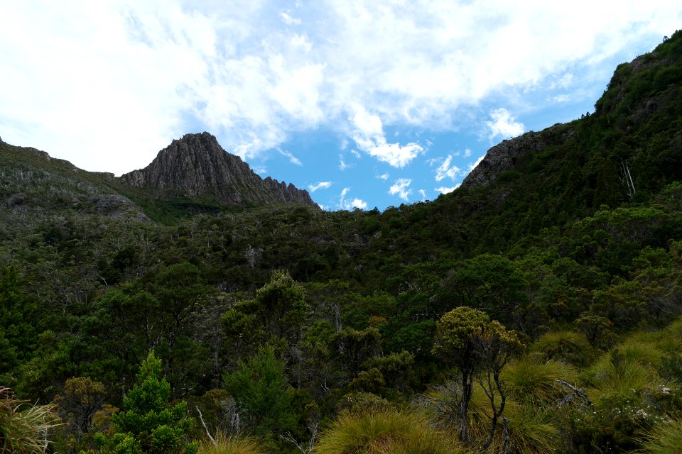 Dove Lake Circuit Walking Track, Cradle Mountain - Lake St Clair National Park 48