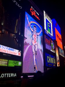 Dotombori neon signs at night, 25th October 2014 (3)