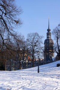 Dresden hausmannsturm vom zwingerteich