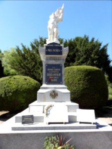 Doulaincourt, monument aux morts (03)